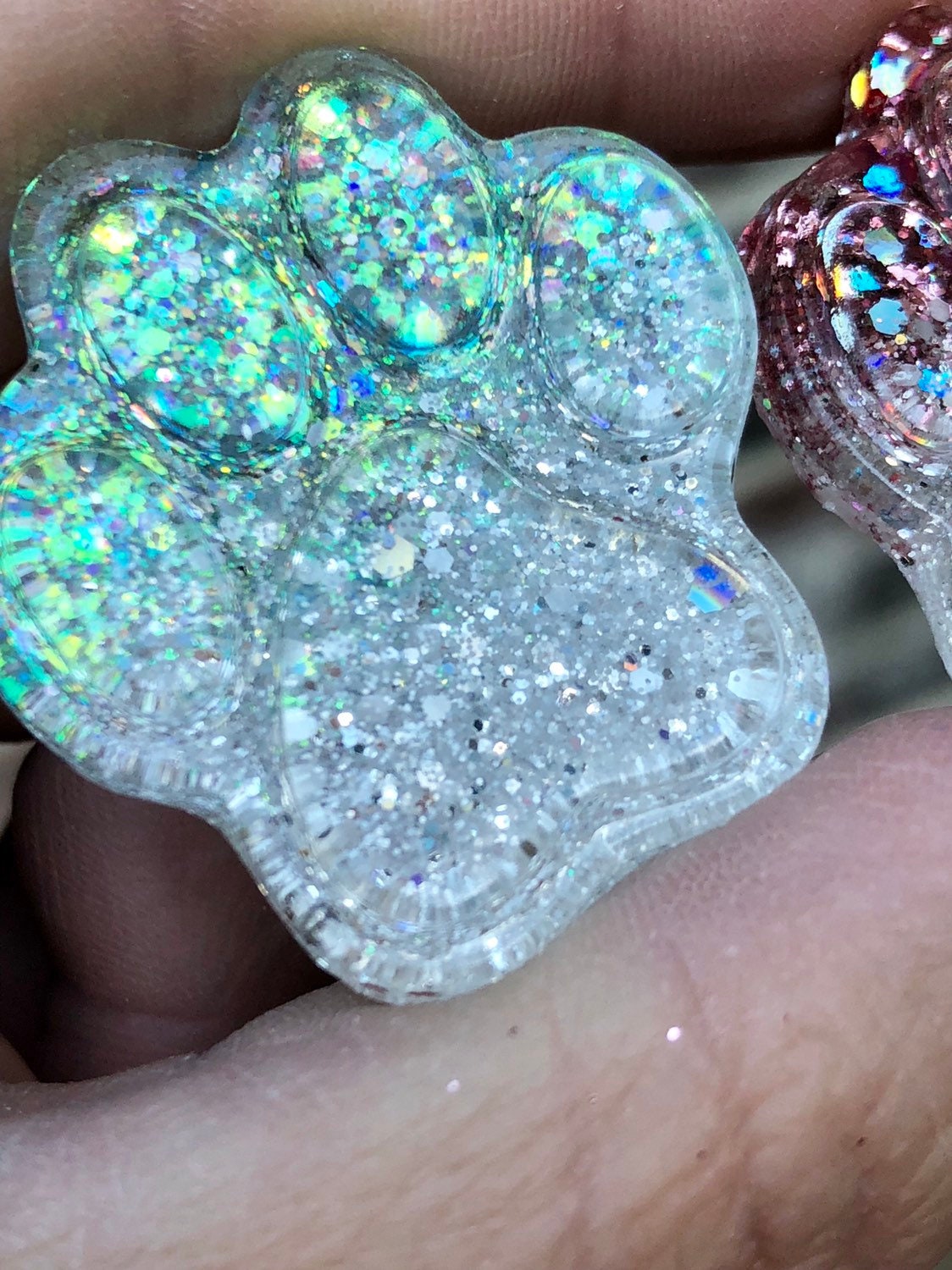 Xray Markers Pretty Ombre Paws