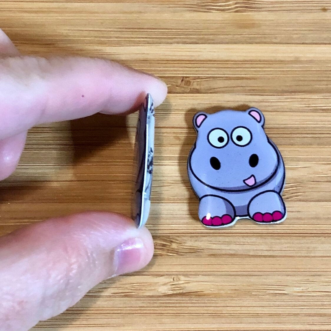 Xray Markers Cute Hippo