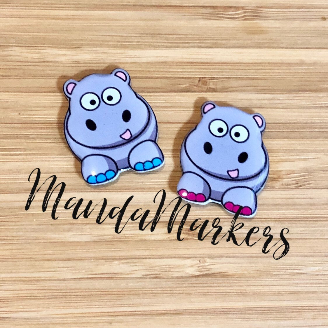 Xray Markers Cute Hippo
