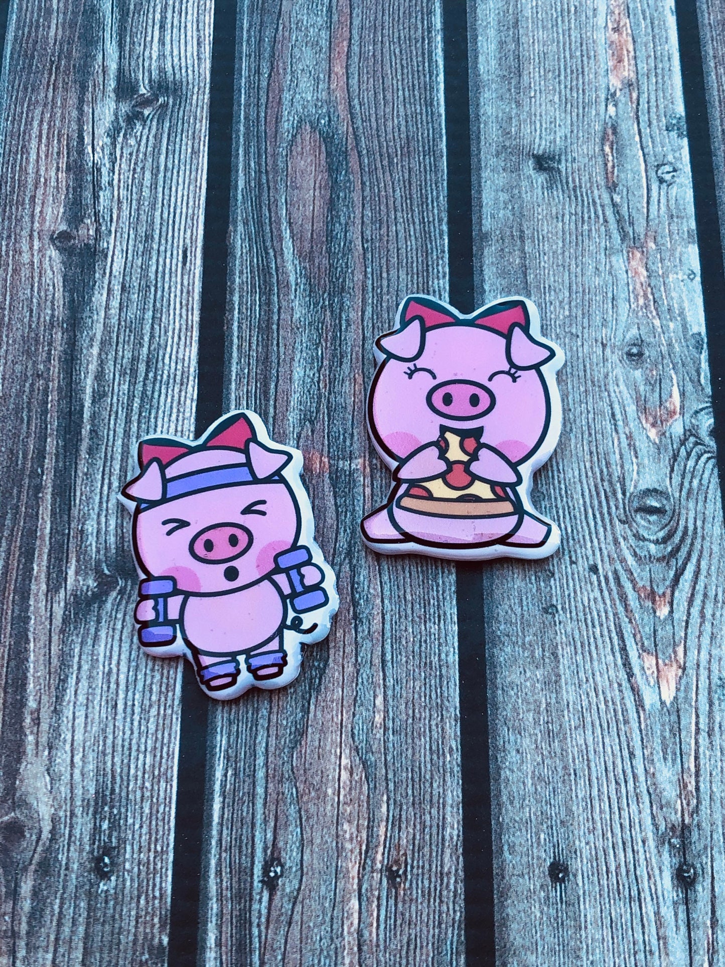 Xray Markers Pig Out Gym Time