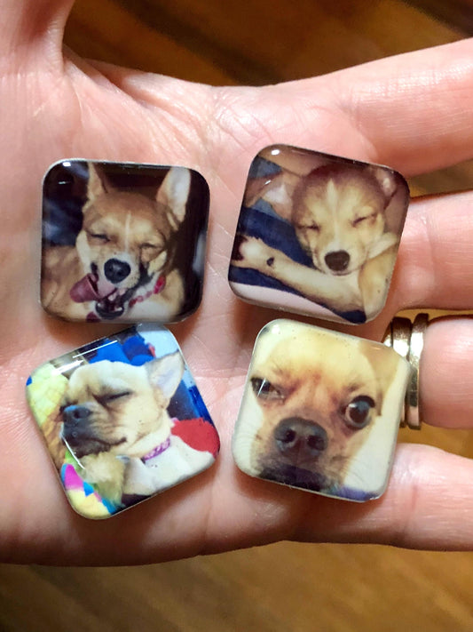 Xray Markers with YOUR Pictures Including Initials