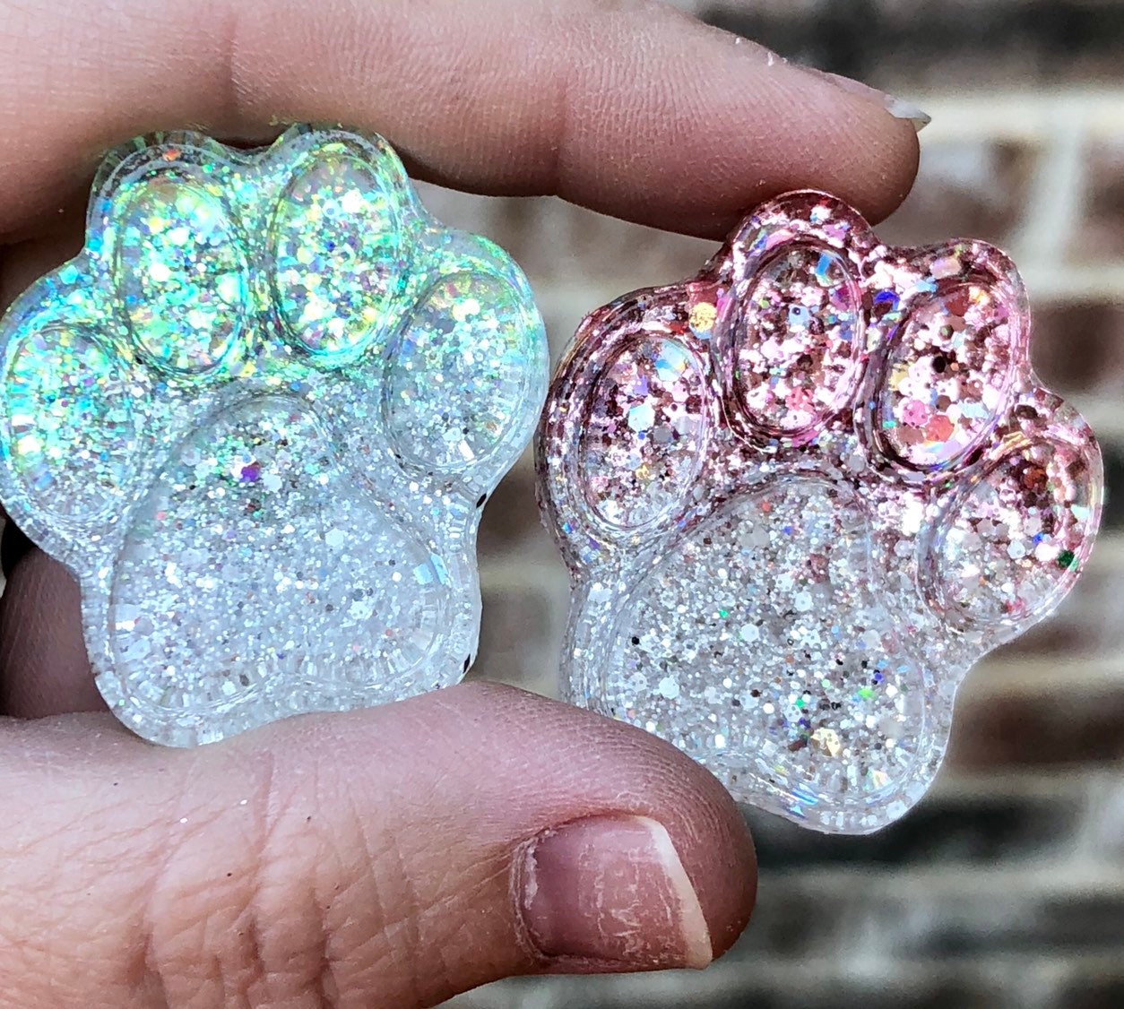 Pretty Ombre Paws Xray Markers  Customized with 2-3 Initials