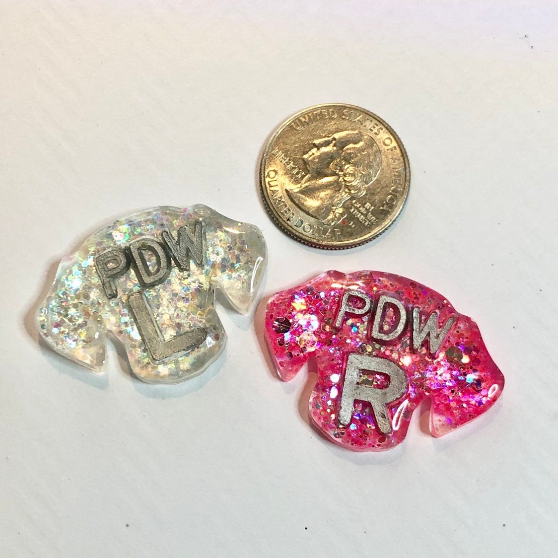 Puppy Xray Markers  Customized with 2-3 Initials
