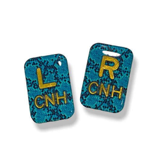 Teal Snakeskin Xray Markers Customized with Gold Lead Initials